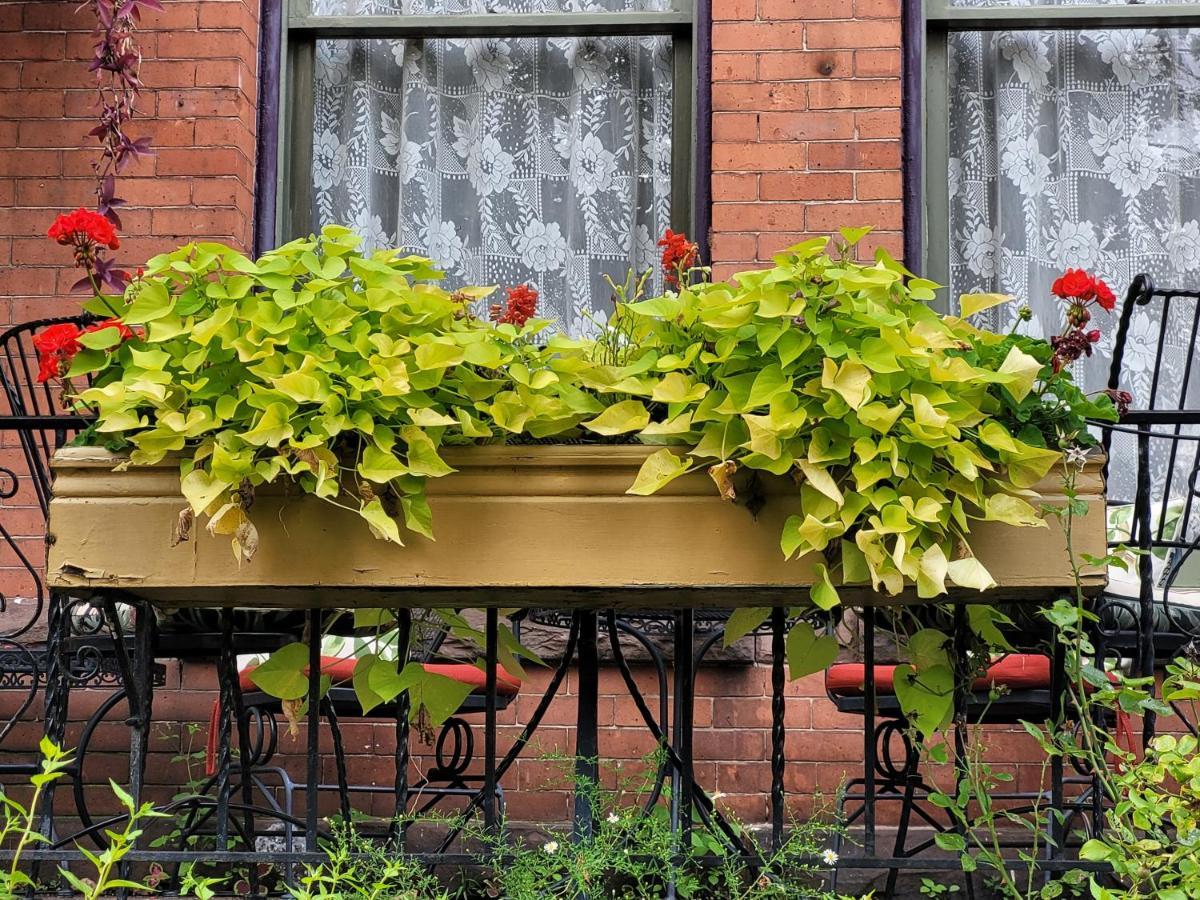 Buffalo Harmony House エクステリア 写真